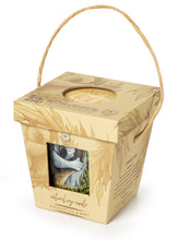 Load image into Gallery viewer, Koala Foundation Candle Eco Friendly Box , No Tree No Me , Eucalyptus &amp; Mint Scent